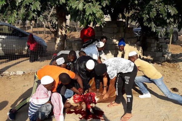 69581325_112703980101725_1645217111410212864_n