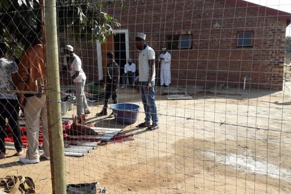 69820073_112704506768339_6418943196419588096_n