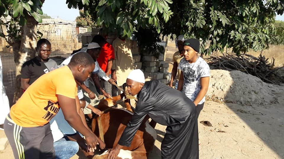 69272745_112704956768294_2374226804190740480_n