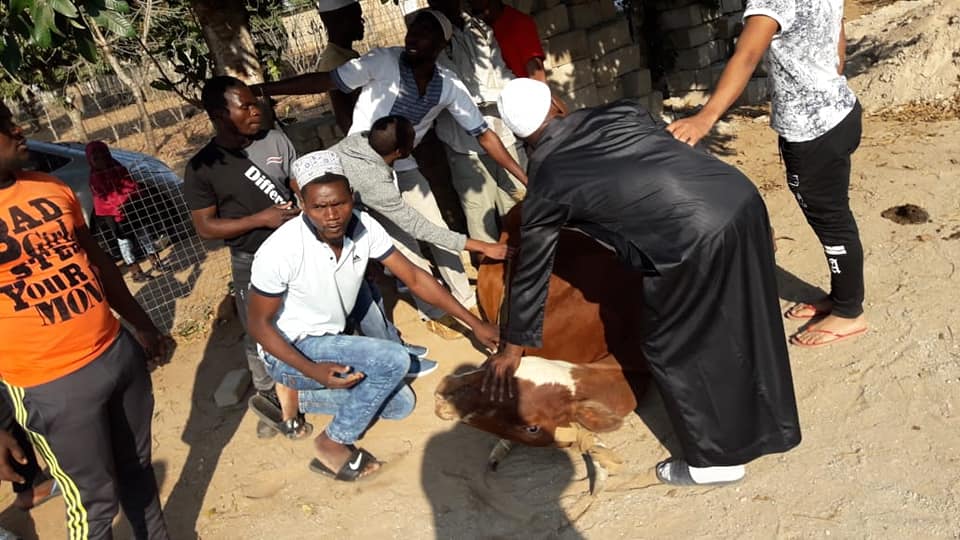 69699831_112705133434943_2261406671978889216_n